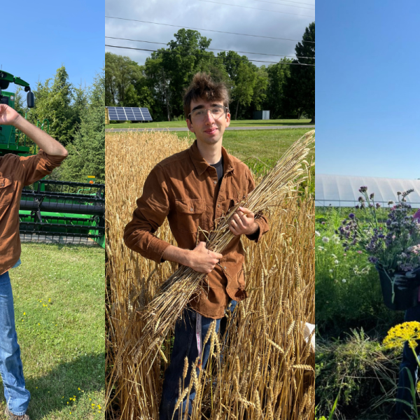 Collage of photos of man in the field