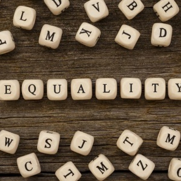 dice with letters on them spell the word equality 