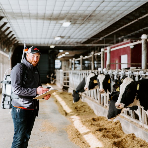 a man stands in a cow barn wearing a methane sensor backpack