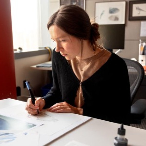 Jillian Ditner, staff biological illustrator for the Cornell Lab of Ornithology sketches a bird at her desk