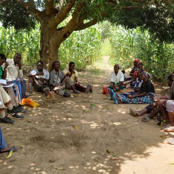 Village members meet beneath large shade tree