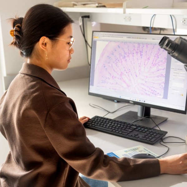 Scientist sits at her desk examining a cross section of an embryonic chicken’s small intestine.