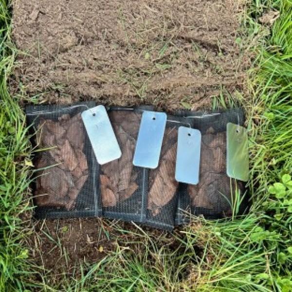 Small bags of 'leaf litter' lay on the ground