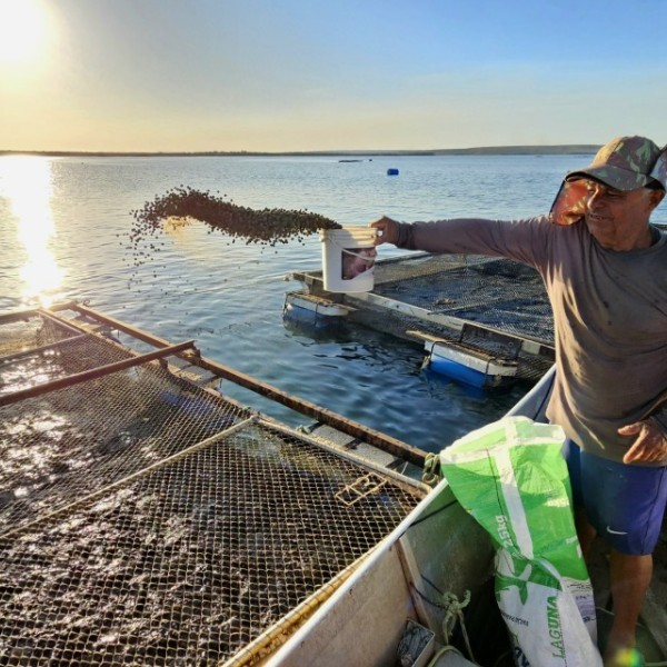 An aquaculturist feeds his fish in Palmas, Tocantins, Brazil.