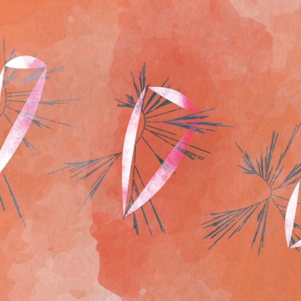 An illustration using figures called “similarity trees,” used to infer the evolution of enzyme components essential to transposons, or “jumping genes,” functioning.