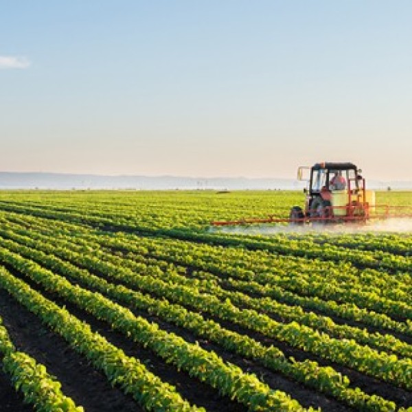  A tractor in a field of crops