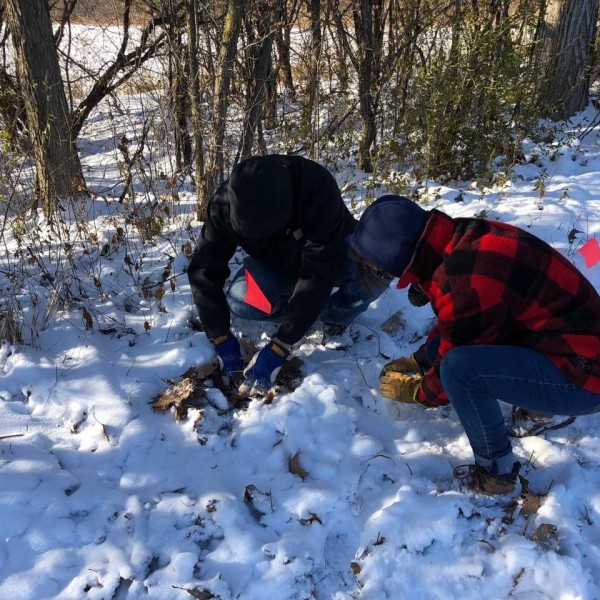 Members of Greg Loeb's lab looked for spotted winged drosophila in a winter field.