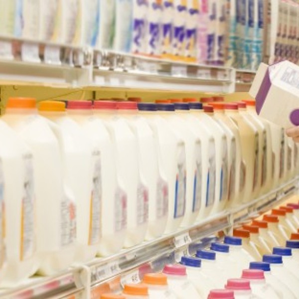 Hands pick up a half-gallon carton of milk from the milk aisle of the grocery store