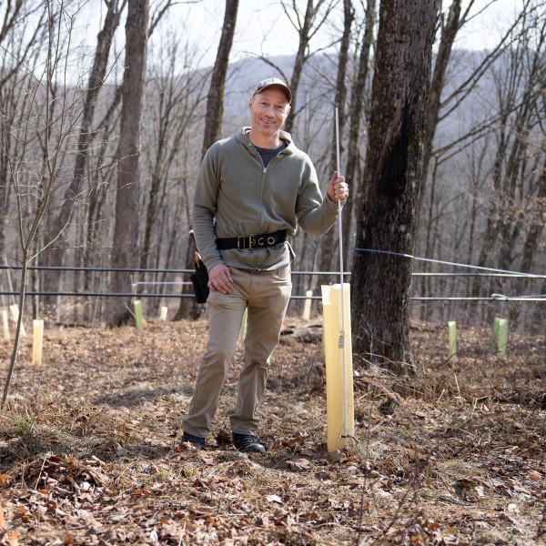 A person in a forest with old trees and new plantings