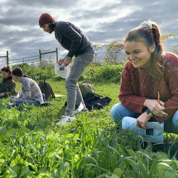 Students are checking plants in a field