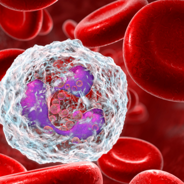 graphic of blood cells