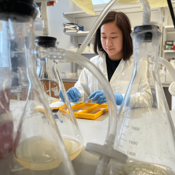 student working in a lab