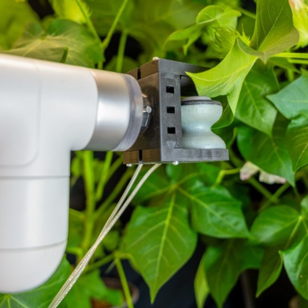 The soft robotic leaf gripper injects leaves with sensors that help it detect and communicate with its environment.