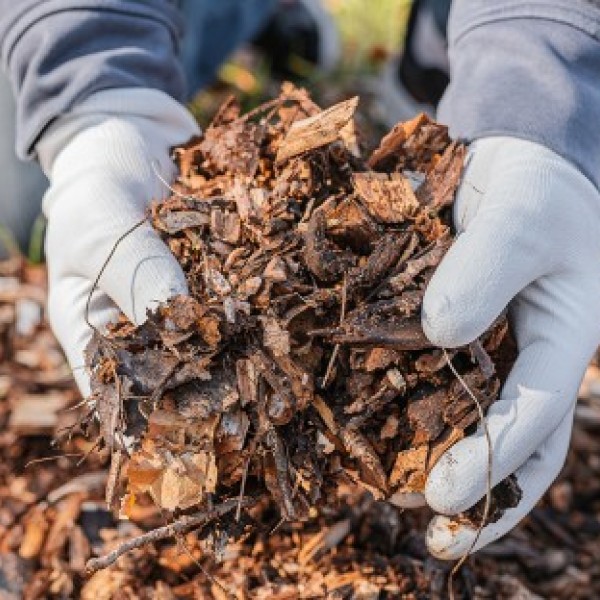 Hands wearing gloves picks up a pile of wood debris off the ground