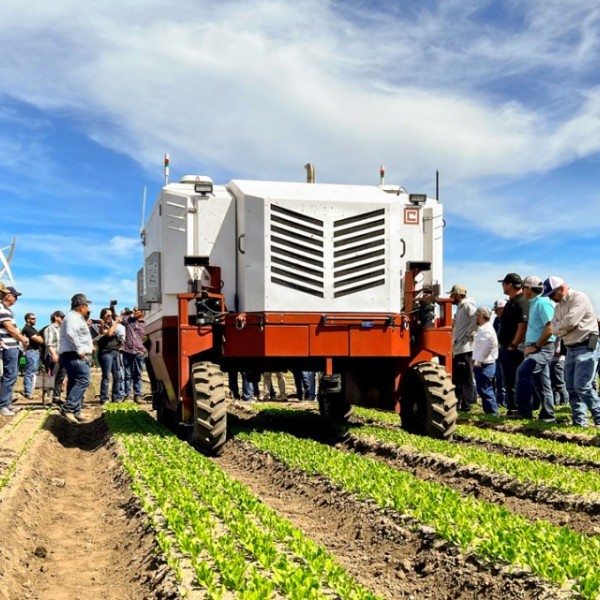 Farmers attend demonstration of laser weeding machine. 