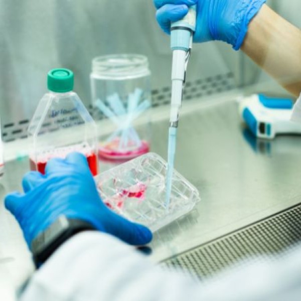 Close up photo of a researchers hands taking a sample in a lab.