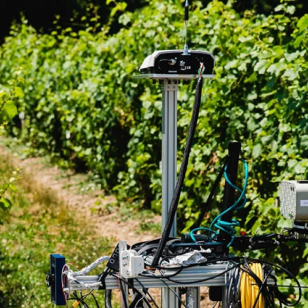 Robot analyses crops in a field