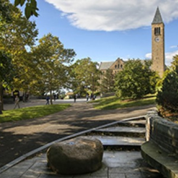 Scenic view of McGraw Tower