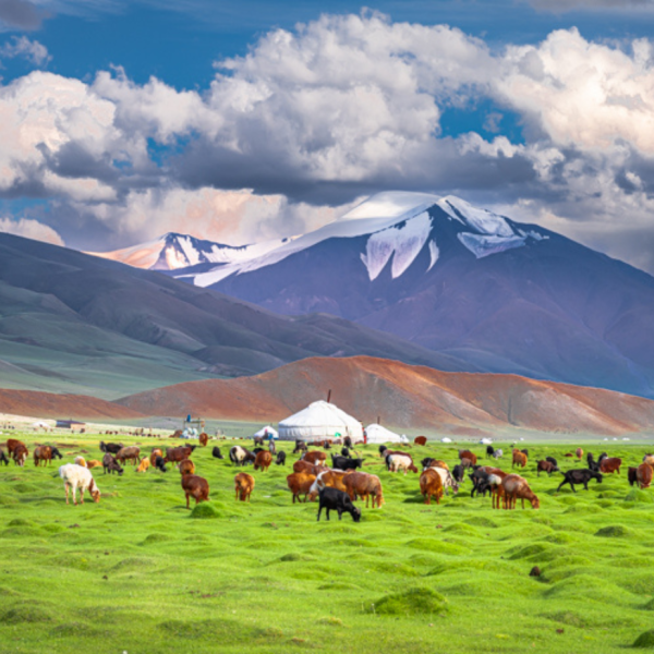 Mongolian landscape