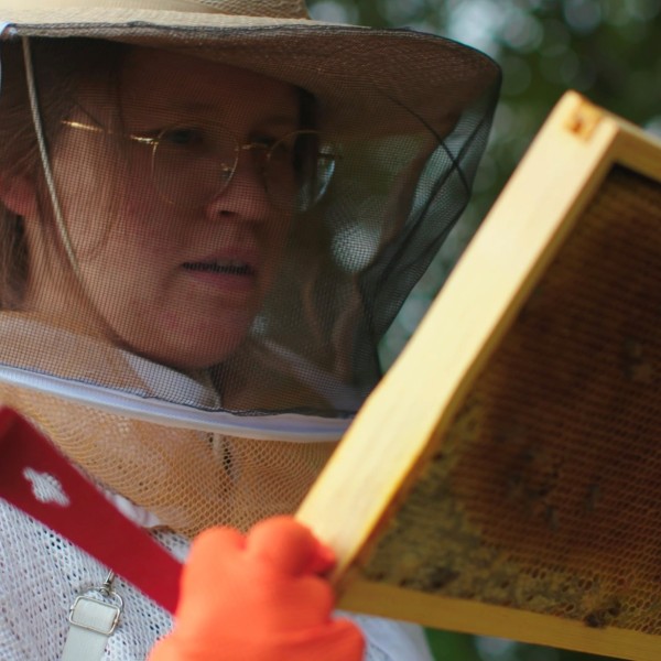 Petra Hafker looks at honey bees from a hive.