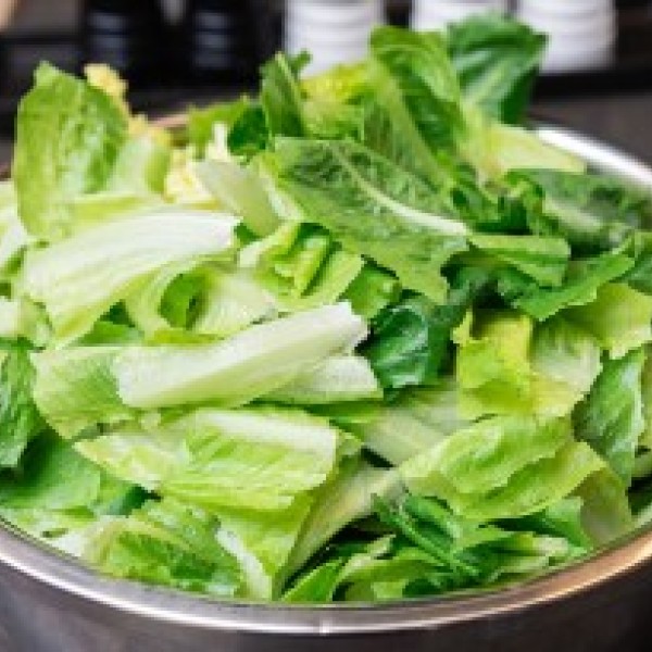 Bowl of romaine lettuce 