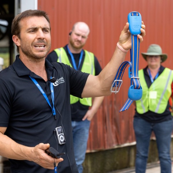Julio Giordano, professor of animal science in the College of Agriculture and Life Sciences, shows dairy industry leaders a collar that can track cows' food intake, at the Cornell University Ruminant Center on June 30.