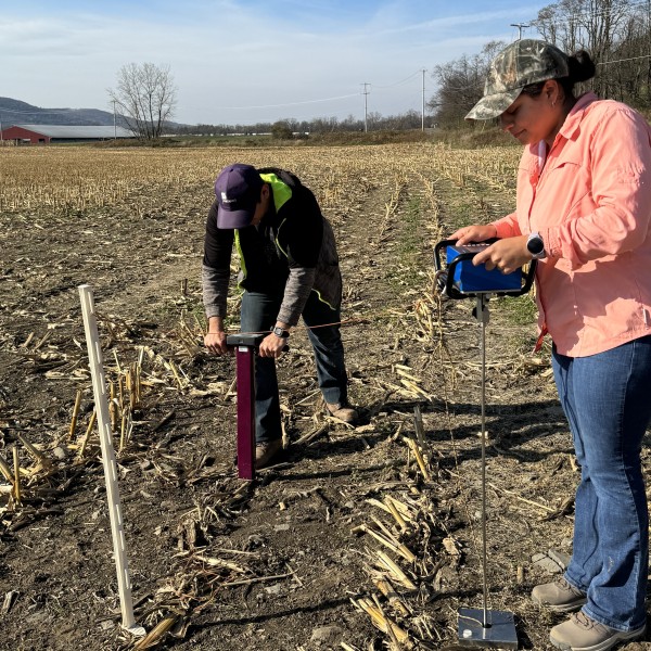 A woman pushes a device into the ground in a farm field.