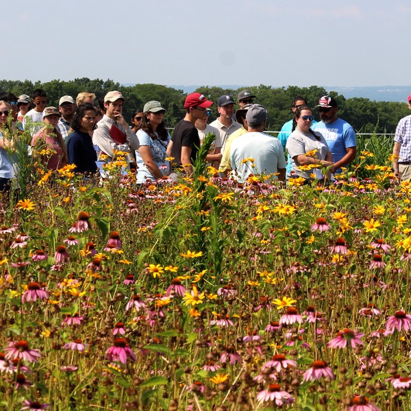 field day attendees in background viewing flowery marginal planting