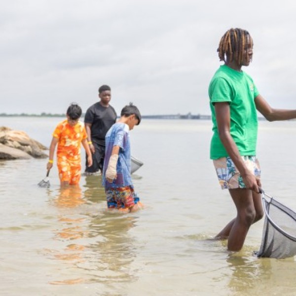 Students from the Children and Youth Hub Station in Hempstead, New York, use individual landing nets to catch European green crabs at Jones Beach State Park. 