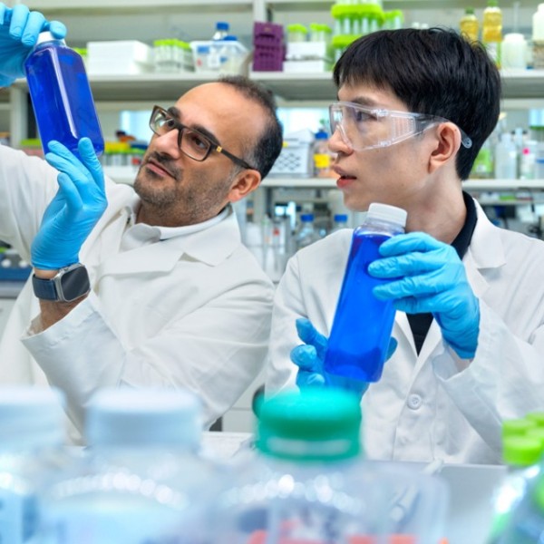 Alireza Abbaspourrad, left, the Yongkeun Joh Associate Professor of Food Chemistry and Ingredient Technology, and Qike Li work in Abbaspourrad’s lab.