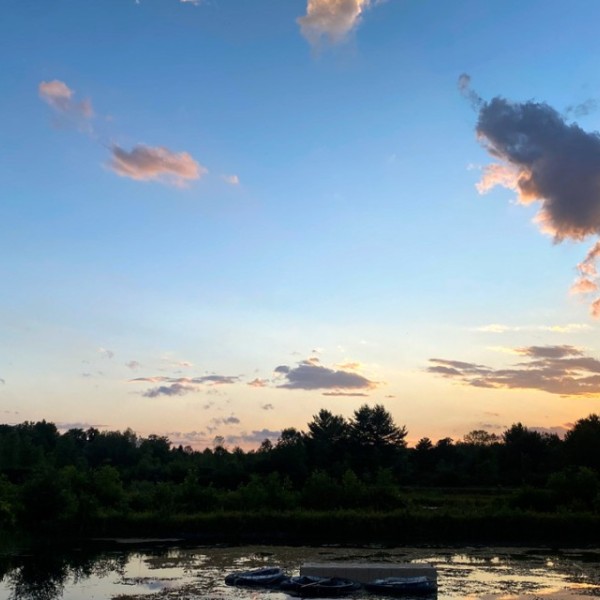 Pond plant corrals at the Cornell Experimental Pond Facility.