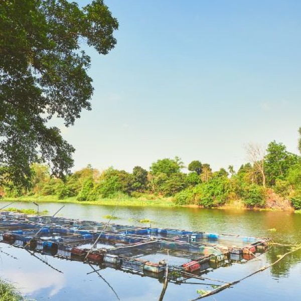 barges and stuff in a river