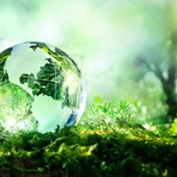 Glass globe on grass with trees in the background