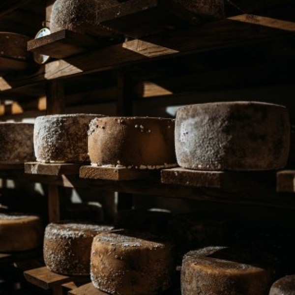 Shelves of wheels of cheese.
