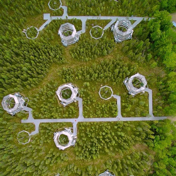 Birds eye view of  10, yurt-like test chambers in a natural boreal spruce bog in northern Minnesota.