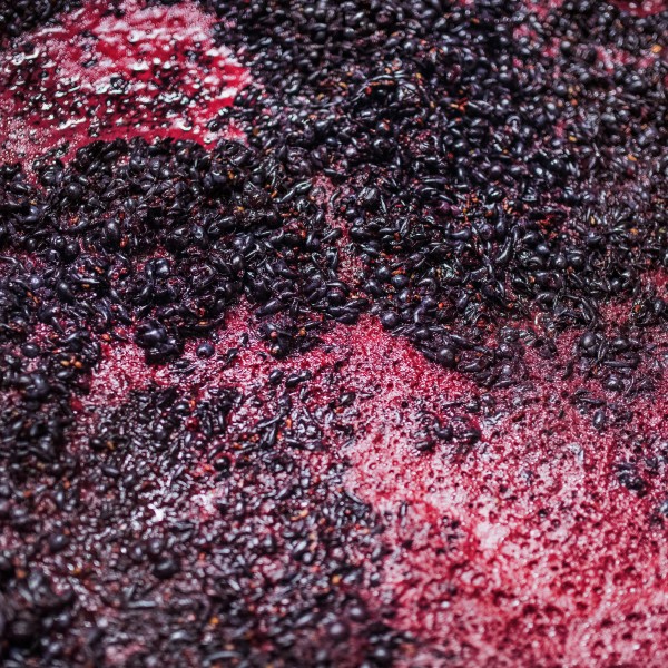 Grape Pomace