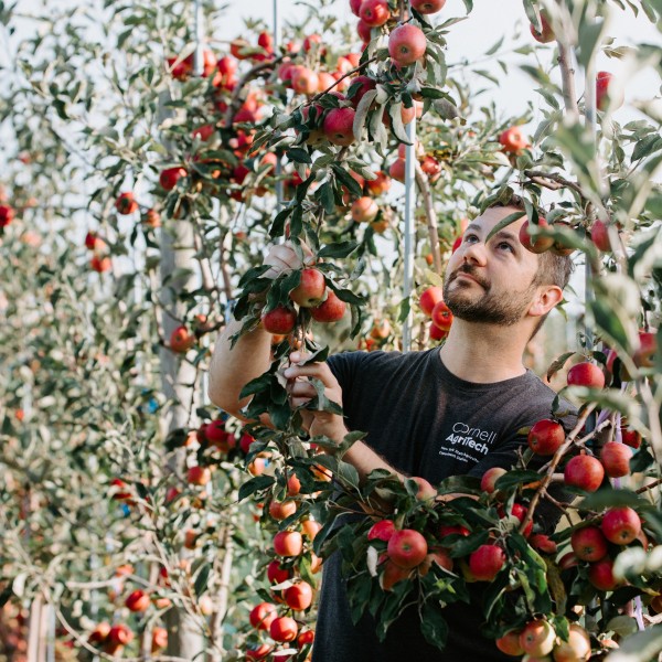 Jason Londo examines a tree impact by extreme weather.
