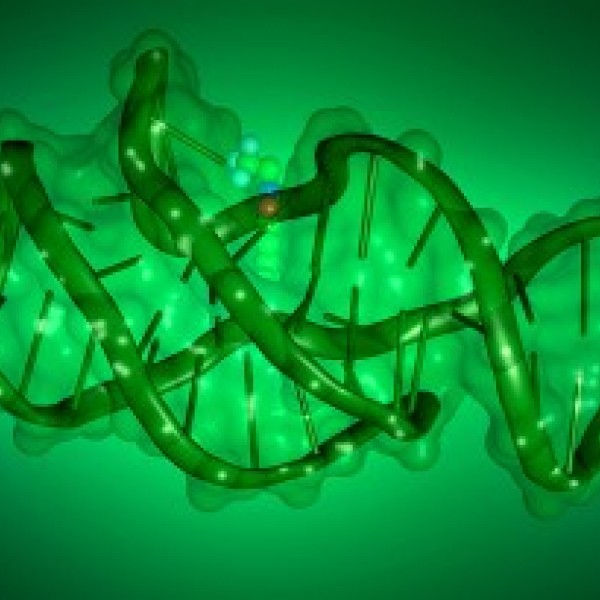 Illustration of a DNA strand