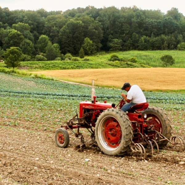 Farmer plows field on a tractor