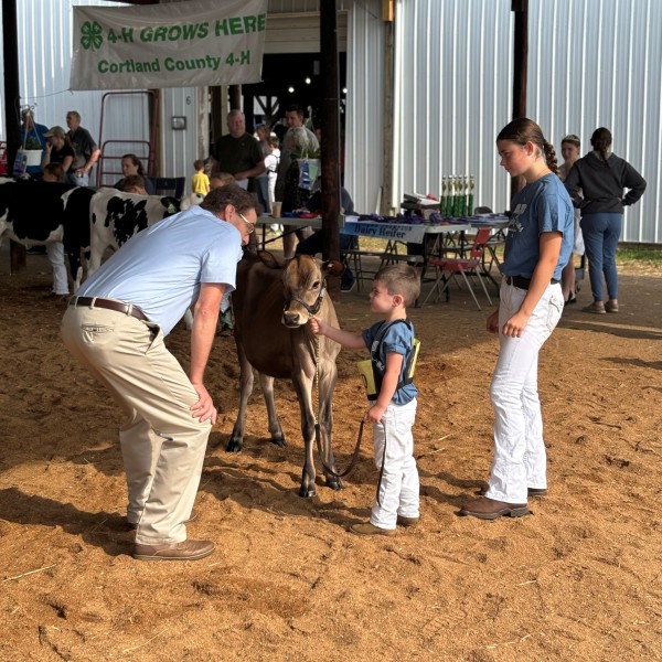 2025 4H Cortland County Fair Participant Cow
