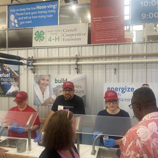 Workers at the State Farm Milk Bar