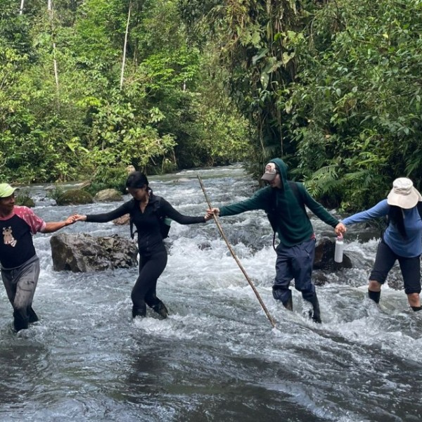 Students holding hands crossing a creek