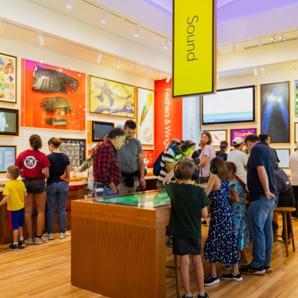 People walking around and looking at displays at the Cornell Lab of Ornithology Visitor Center