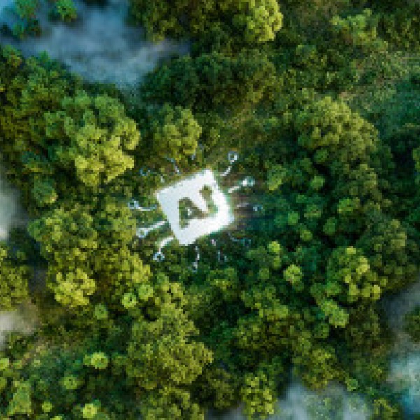 Birds eye view of a forest of tree with an AI symbol
