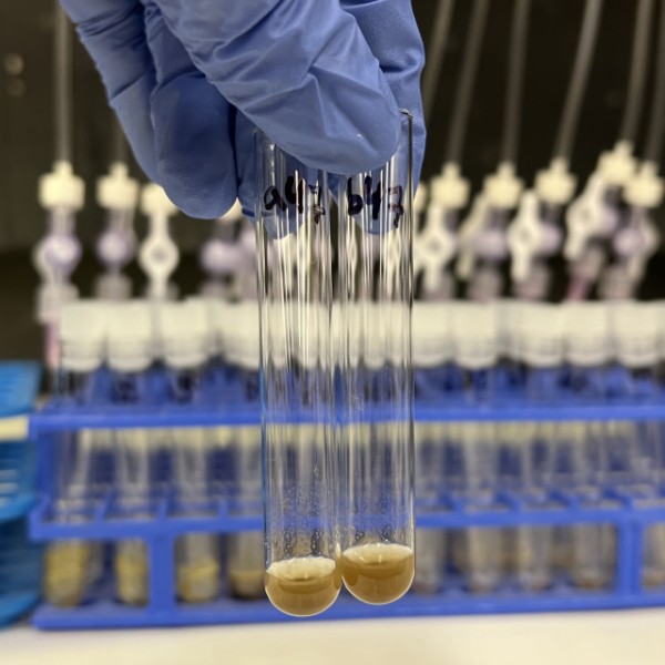 Close up of dissolved organic matter sourced from decomposition incubations in preparation for measurement with high-resolution mass spectrometry.
