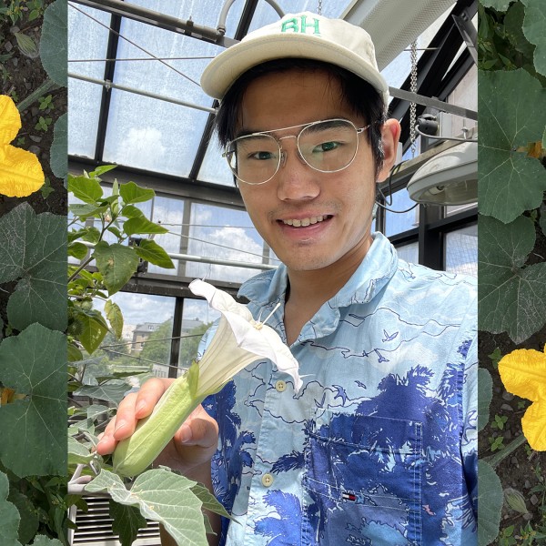 Jonathan Chai in a green house with datura and squash flowers