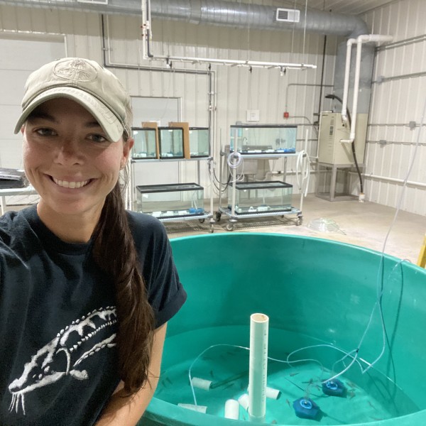person standing front of aquatic tank
