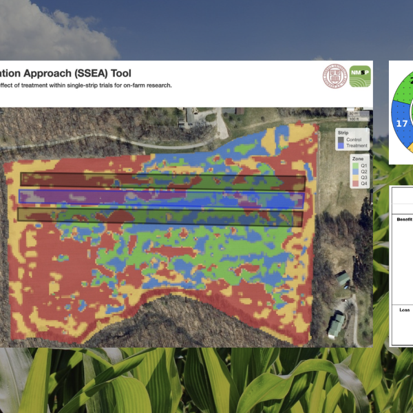 Components of the SSEA tool input and output with a faded background of a corn field.
