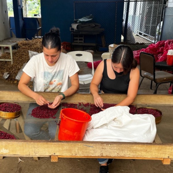 Yoselyn Hernández Chaves (left), master's student in applied economics and management, studied consumer and industry preferences on red beans in Costa Rica last summer. 