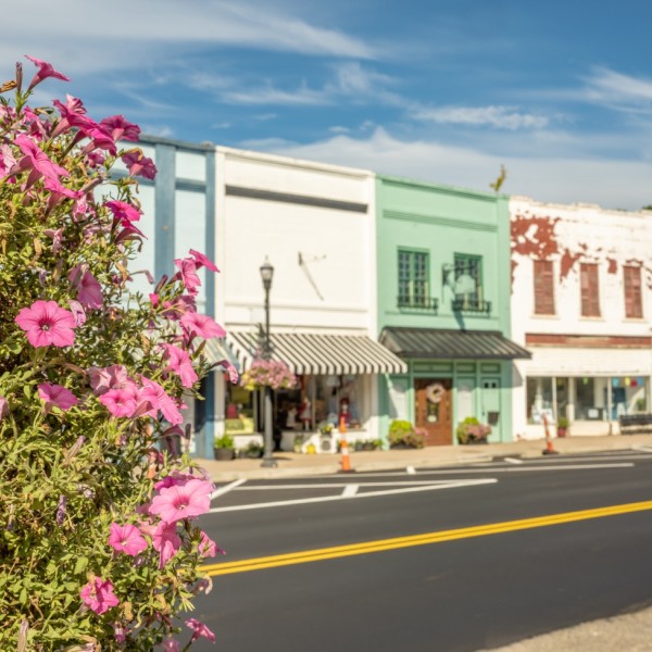 A bunch of small businesses